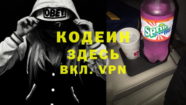 дживик Белокуриха