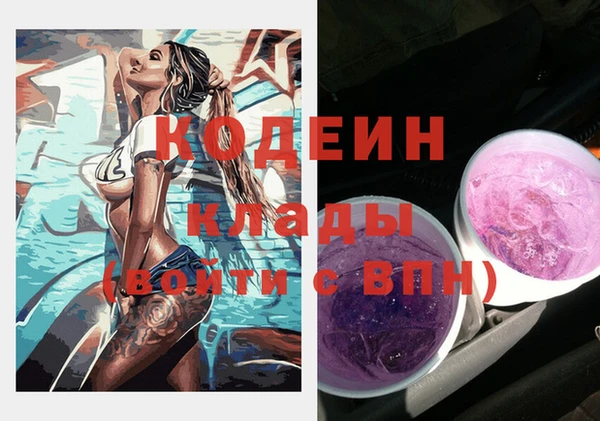 apvp Вуктыл