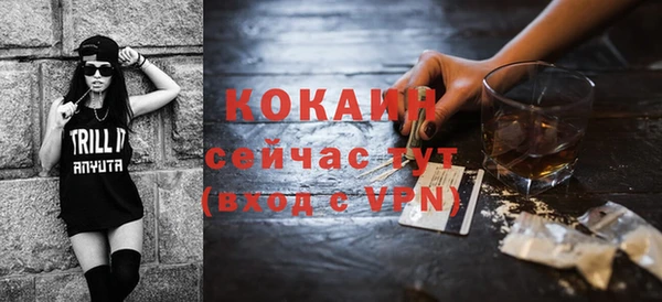 дживик Белокуриха