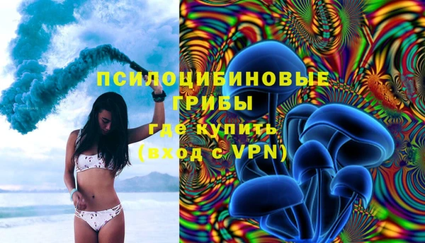 гашик Балахна