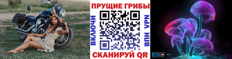 Галлюциногенные грибы ЛСД  Гороховец 